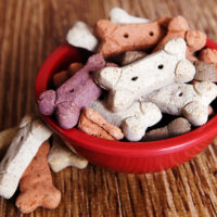 3 Must-Try DIY Dog Food Recipes