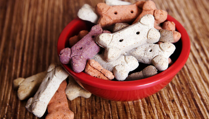 3 Must-Try DIY Dog Food Recipes