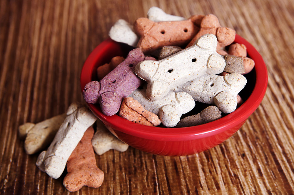 3 Must-Try DIY Dog Food Recipes