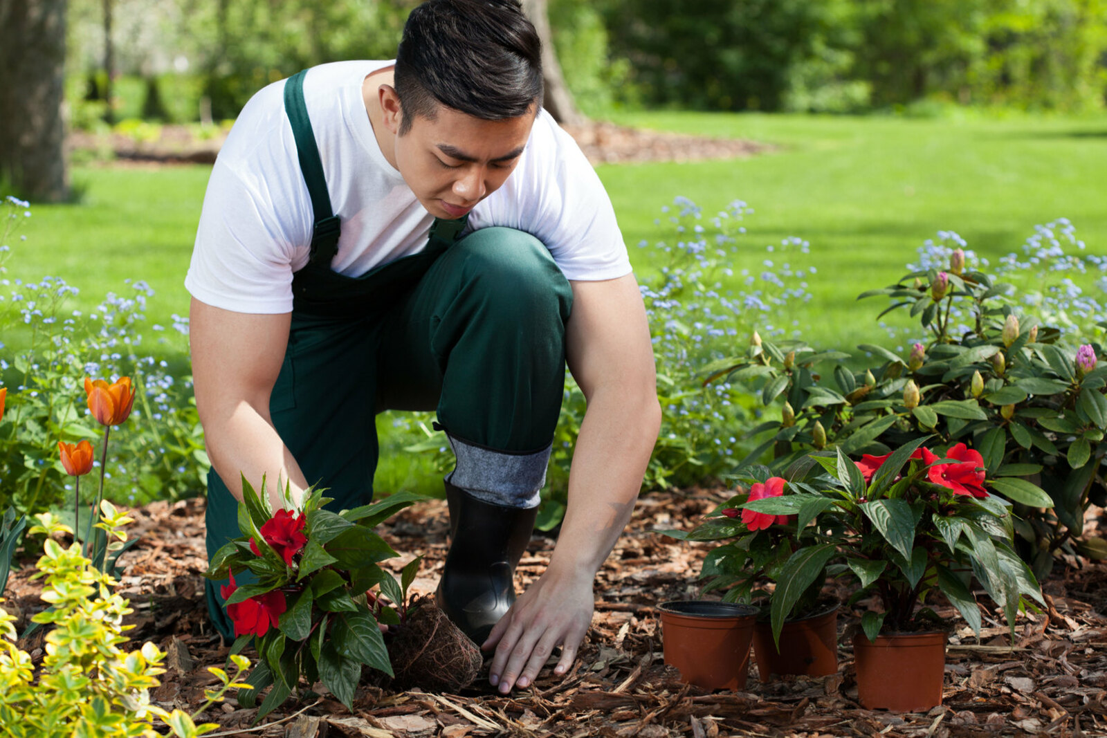 The Most Surprising Health Benefits of Gardening